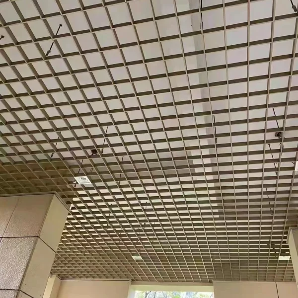 Installed cell ceiling in office space