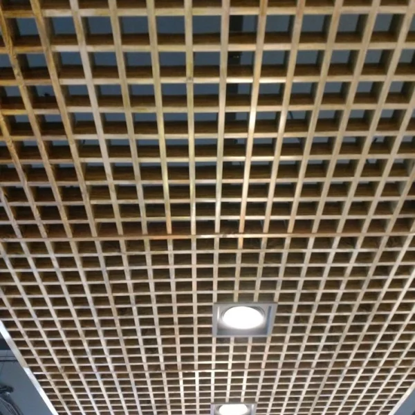 Cell Ceiling Grid