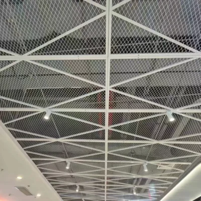Expanded mesh with frame installed in mall space