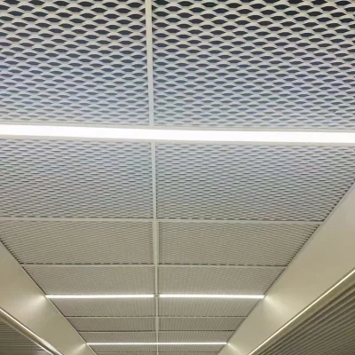 Expanded Mesh Ceiling 02