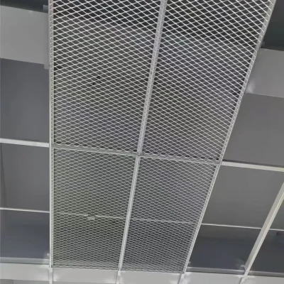 Expanded Mesh Ceiling 08
