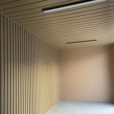 Strip ceiling panel in solid color